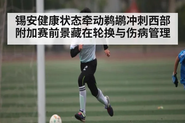 锡安健康状态牵动鹈鹕冲刺西部附加赛前景藏在轮换与伤病管理