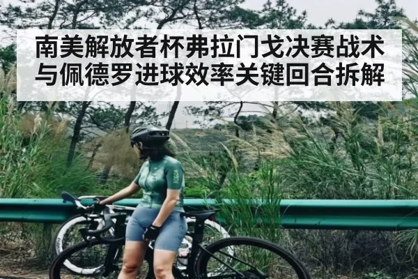南美解放者杯弗拉门戈决赛战术与佩德罗进球效率关键回合拆解